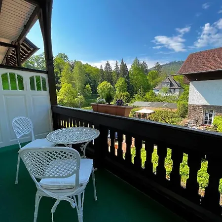 Apartmanhotel Park Zentral Am Mittelrhein Zimmer&apartments Self Check In 4*