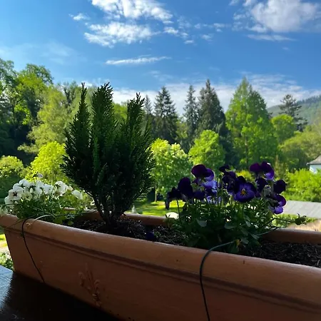 Park Zentral Am Mittelrhein - & Апарт-отель 4*