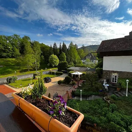 Park Zentral Am Mittelrhein - & Aparthotel