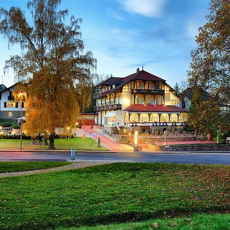 Apart-hotel Park Zentral Am Mittelrhein Zimmer&apartments Self Check In 4*