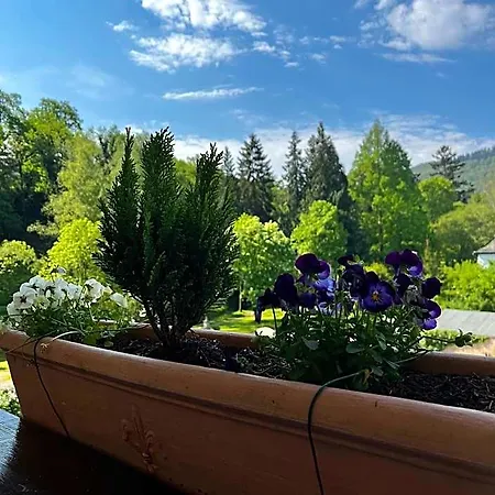 Park Zentral Am Mittelrhein Zimmer&apartments Self Check In Apartahotel