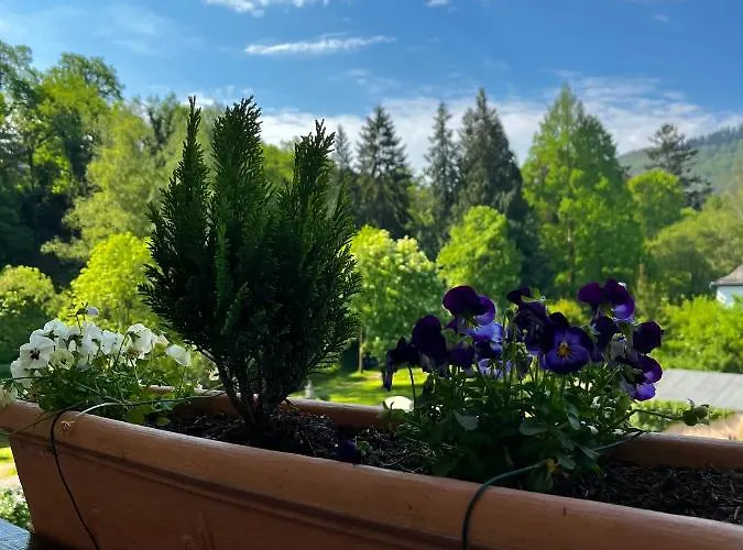 Park Zentral Am Mittelrhein Zimmer&apartments Self Check In מלון דירות 4*