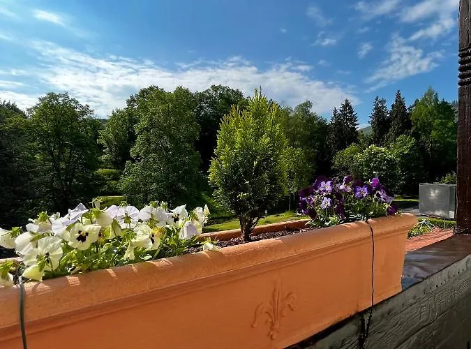 Park Zentral Am Mittelrhein Zimmer&apartments Self Check In מלון דירות 4*