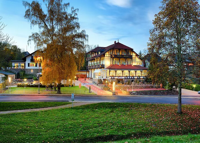 Aparthotel Park Zentral Am Mittelrhein Zimmer&apartments Self Check In 4*